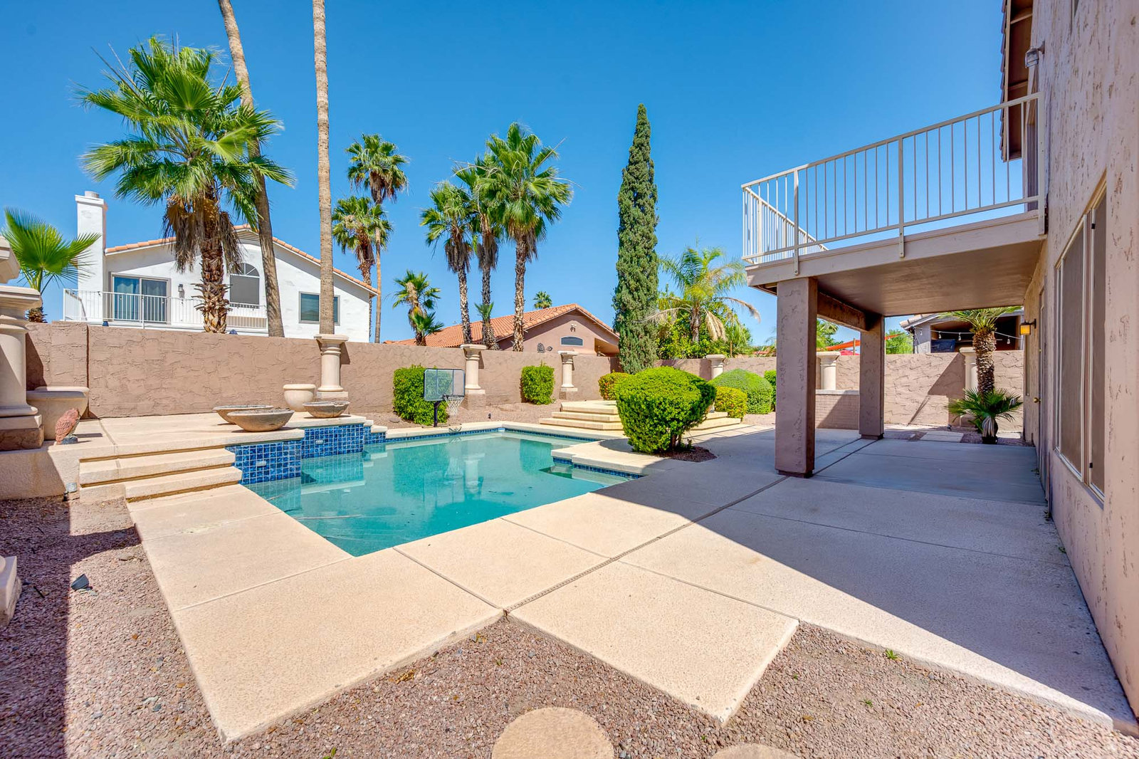 Backyard swimming pool with palm trees