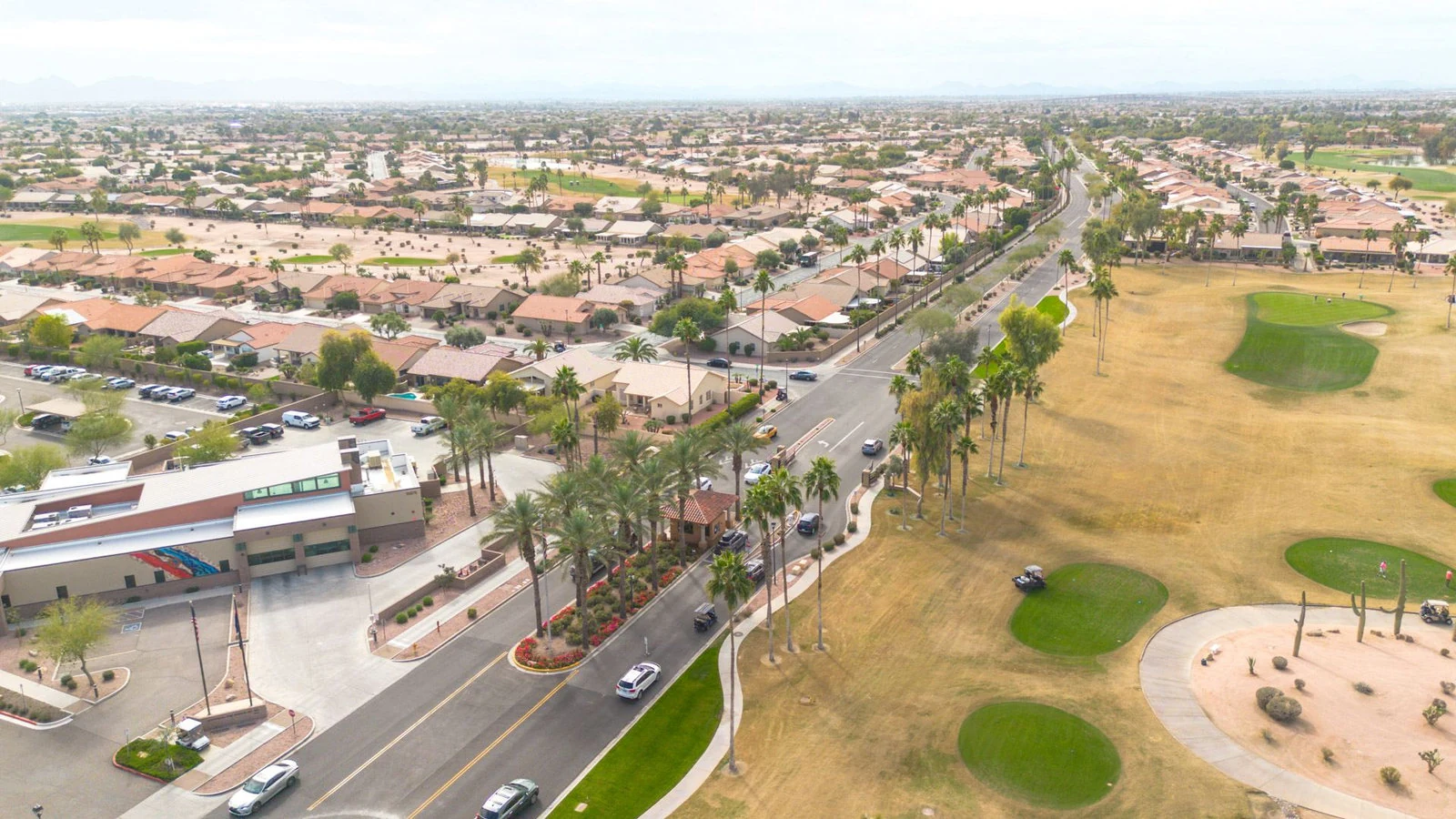 Aerial palm lined road golf course real estate photography Goodyear AZ | The Listing Bees