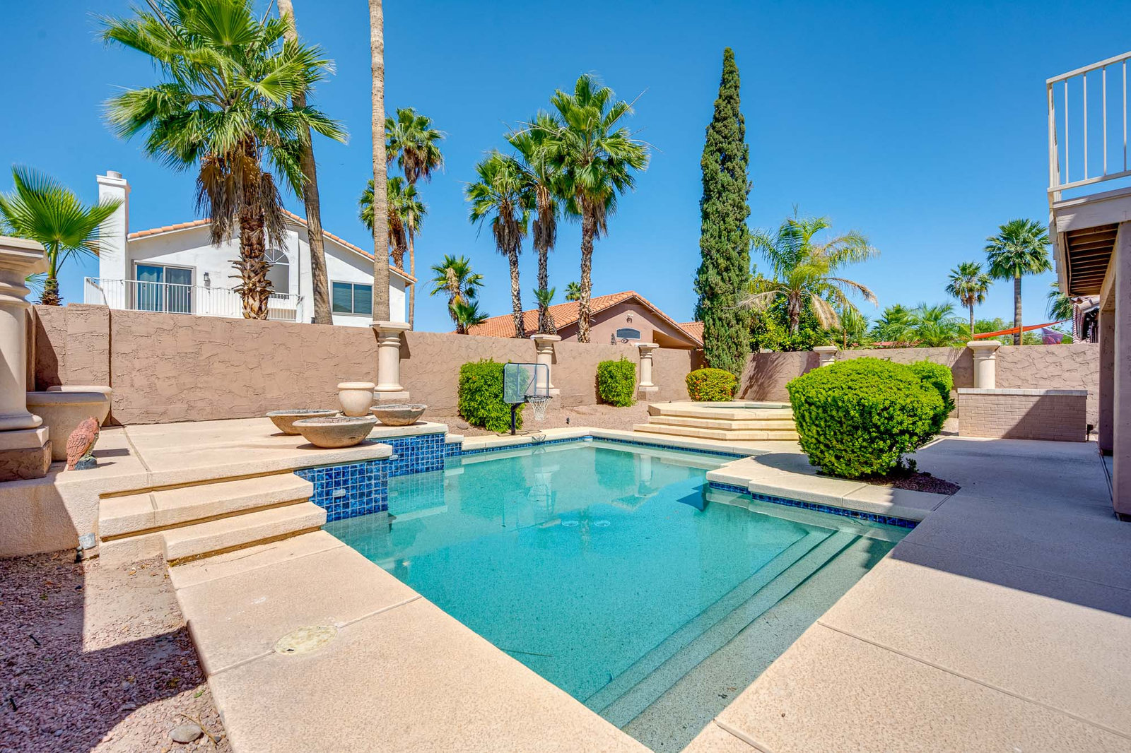 Residential backyard pool with palm trees