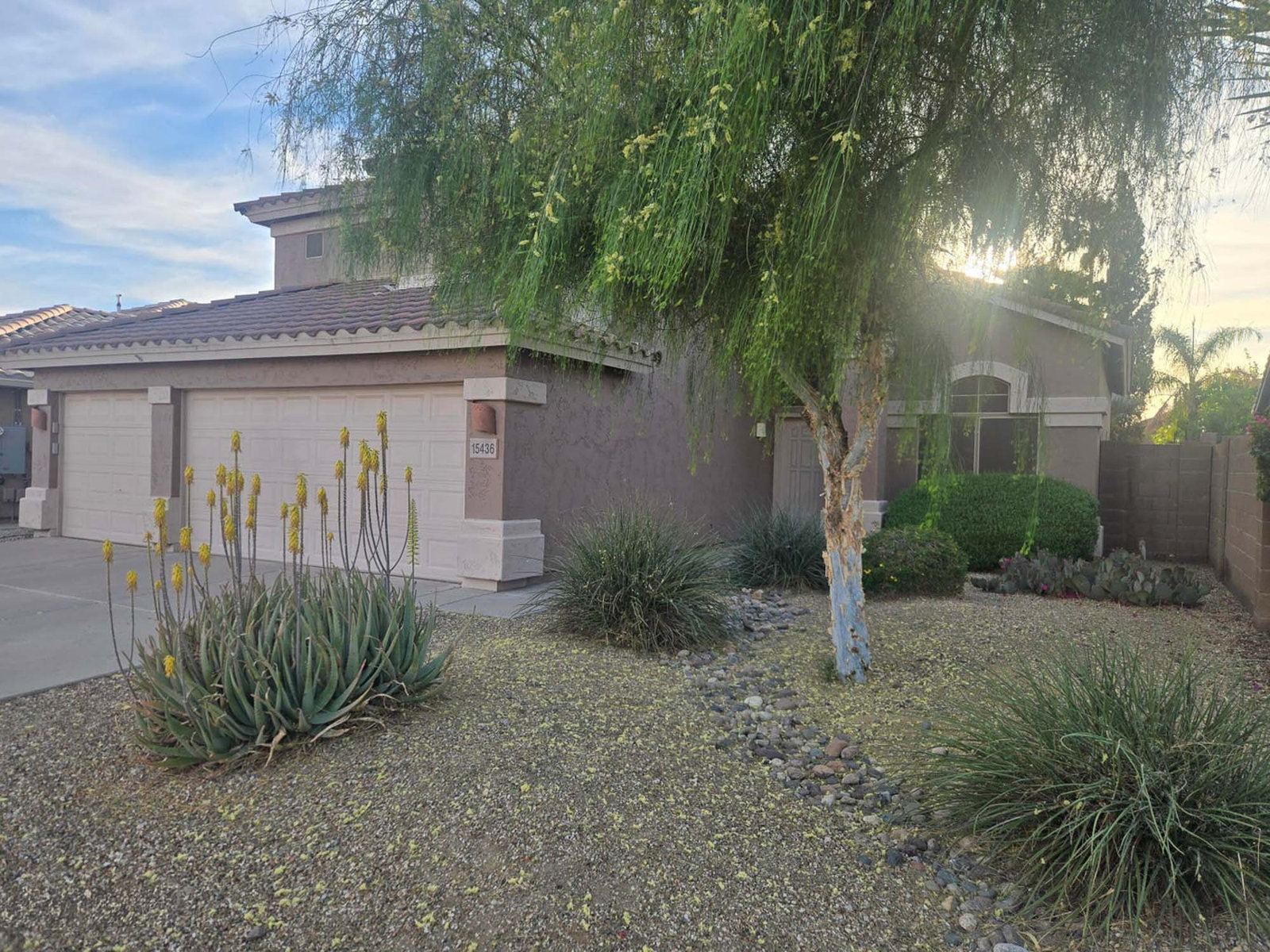 Single-story house with desert landscaping in Gilbert, AZ
